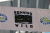 IMG_0108 (cam 2)