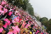 IMG_0108 (cam 1)