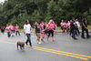 IMG_0773 (cam 2)