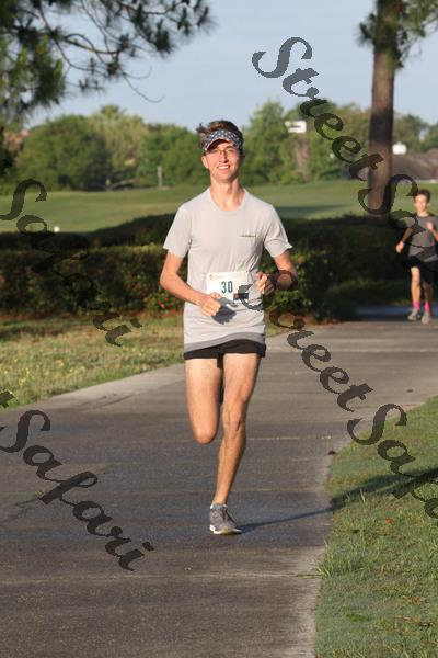 Tiger Trot