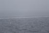 IMG_0006 (cam 1)