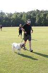 IMG_0580 (cam 1)