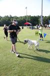 IMG_0584 (cam 1)