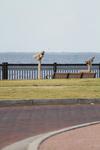 IMG_0007 (cam 1)