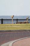 IMG_0008 (cam 1)
