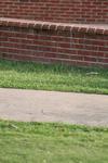 IMG_0017 (cam 1)