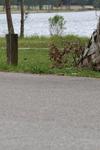 IMG_0003 (cam 1)