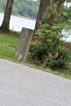 IMG_0004 (cam 1)