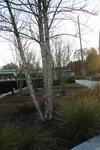 IMG_0403 (cam 1)
