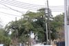 IMG_0010 (cam 1)