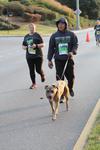 IMG_1806 (cam 2)
