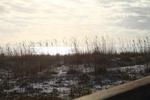 IMG_0004 (cam 2)