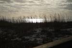 IMG_0005 (cam 2)