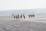 IMG_0042 (cam 2)