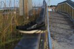 IMG_0052 (cam 2)