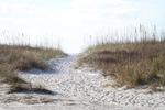 IMG_0077 (cam 2)