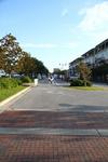 IMG_0011 (cam 1)
