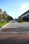 IMG_0012 (cam 1)