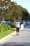 IMG_2397 (cam 1)