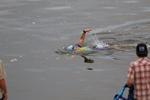 IMG_0013 (cam 2)