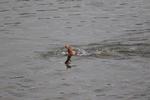 IMG_0025 (cam 2)