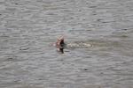 IMG_0036 (cam 2)