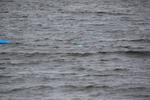 IMG_0036 (cam 1)