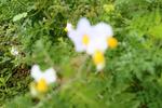 IMG_0565 (cam 1)