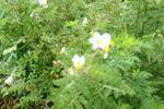 IMG_0566 (cam 1)