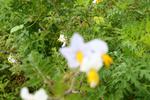 IMG_0568 (cam 1)