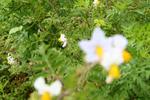 IMG_0569 (cam 1)
