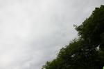 IMG_4002 (cam 2)