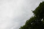 IMG_4003 (cam 2)