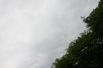 IMG_4011 (cam 2)