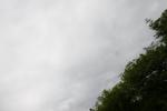 IMG_4012 (cam 2)