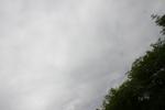 IMG_4014 (cam 2)