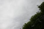IMG_4016 (cam 2)