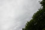 IMG_4019 (cam 2)
