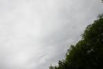 IMG_4020 (cam 2)