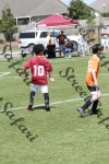 IMG_0014 (cam 0)