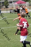 IMG_0051 (cam 0)