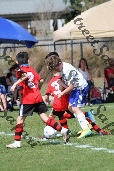 IMG_0053 (cam 0)