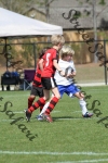 IMG_0047 (cam 0)