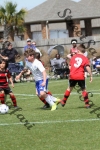 IMG_0110 (cam 0)