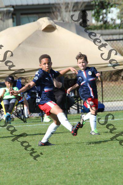 IMG_0046 (cam 0)