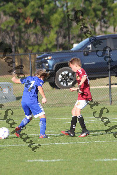 IMG_0187 (cam 0)