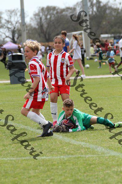 IMG_0019 (cam 0)