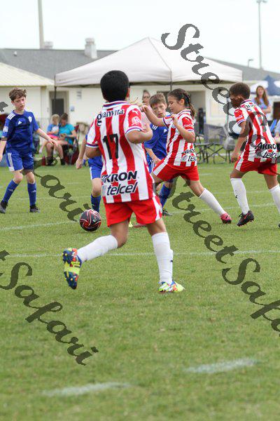 IMG_0054 (cam 0)