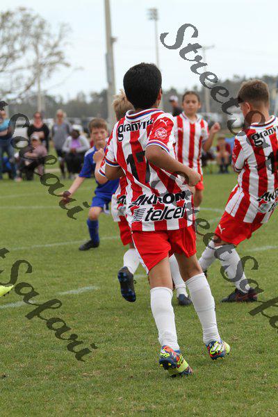 IMG_0070 (cam 0)