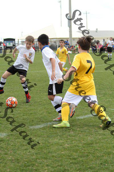 IMG_0025 (cam 0)